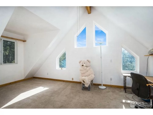 terriblerealestateagentphotos:  Whatever happened in the woods