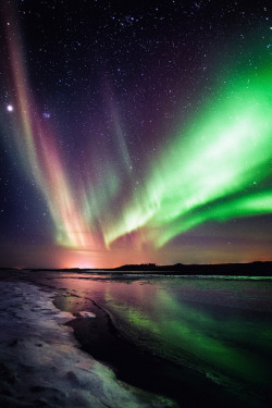 tulipnight:  Northern lights - Iceland by ツ Kj Photography