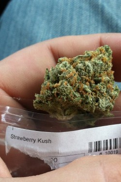 thcfinder:Grab some amazing Strawberry Kush from our friends