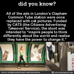 did-you-kno:  All of the ads in London’s Clapham  Common Tube