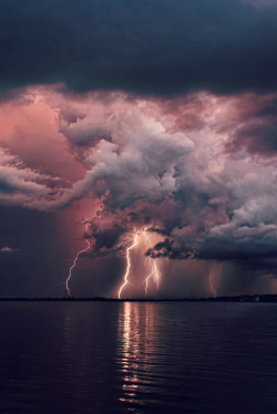 shyowl:  disminucion:  Lightning Storm over Tampa, Florida |