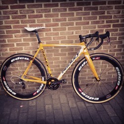 laicepssieinna:  From woutvanaert - Winter Beast http://ift.tt/1tITPLLVive