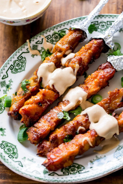 do-not-touch-my-food:  Satay Turkey Skewers