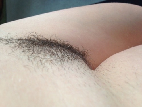 confessionsofateenperv:  Im growing my bush…. heres how it looked this morning :) http://confessionsofateenperv.blogspot.co.uk/ please please please reblog my posts…. i want to get lots of followers :) 