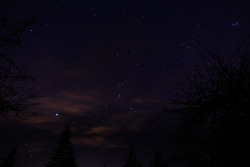 bsharp321: Sirius, Orion’s Belt, and Pleiades from Lynnwood,