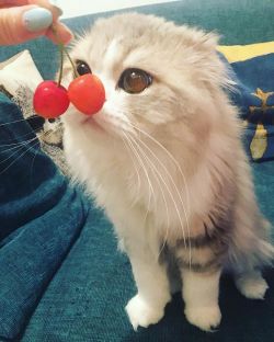 bbeslenirkibu:  ~~