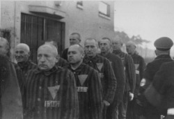 ramirezbundydahmer:  When the Nazi concentration camps were liberated