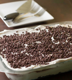 the-absolute-best-posts:  thecakebar: Chocolate Lasagna Recipe