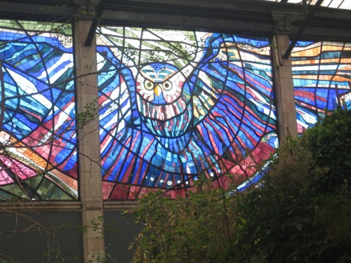 Invite the light  (Cosmovitral in Toluca, Mexico, is a botanical garden embellished with stained glass murals. Originally built 1910 as a market, which closed in 1975, Leopoldo Flores subsequently convinced the city government to convert it into an art