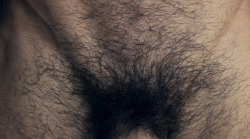 malepubiczone:  ______________________  For more hairy manly