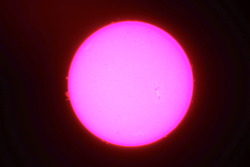 knowyournebulae:  The sun in H-alpha.  Taken with a Takahashi