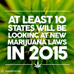 hemp-helps:  2015 will be a big year for hemp. Find out if your