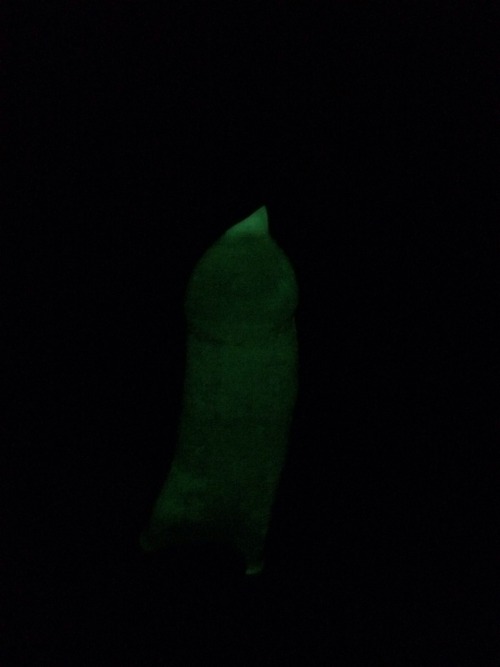 pitsanddicks:  Can you guess what this isâ€¦.. It is my cock.. In a Glow in the dark condom :) 