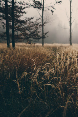 mystic-revelations:  Follow me to a place we can be By Wolfgang