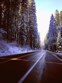 Picture Taken :  January 19th, 2017  Trudging “The Road