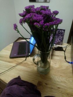 Nick came home with flowers today. For no reason whatsoever either.