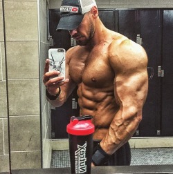 Adonis Files