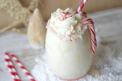  Peppermint White Chocolate Cocktail 4 oz vanilla vodka 2 oz