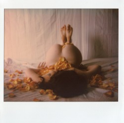 polabeard:  theleilalewis // Spectra Impossible Project film.