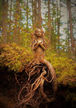 voiceofnature:  Spirit of the Forest by Debra Bernier   