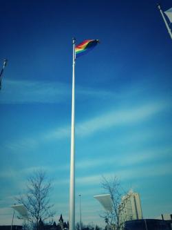 olympicanada:  Canadian cities are flying Pride flags outside