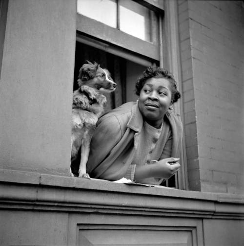 Harlem - Gordon Parks Nudes & Noises