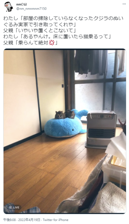 highlandvalley:  https://twitter.com/nm_nmnmnm7150/status/1516373051172339719