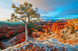 americasgreatoutdoors:  Bryce Canyon National Park in Utah. Beauty