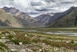 earthporn-org:  Zanskar Valley in Ladakh, India | By Soumen Basu