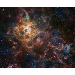 The Tarantula Nebula #nasa #apod #hubble #eso #tarantulanebula