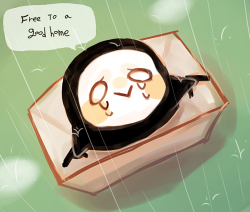 ow-ppangs:  Free to a good home reaper bird..  