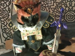 cat-cosplay:  The Dark King… Rightful ruler of Hyrule has come