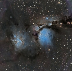 just–space:  M78 and the reflecting dust clouds