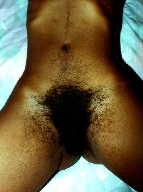 reggieis2:More Nice & Hairy Girls #2