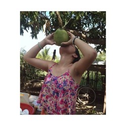 Fresh coconut water all day everyday thanks to the awesome climbing