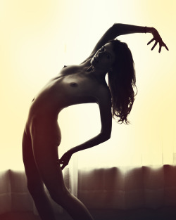 angiemariedreams:  Flamenco  Photographer: robertweissner Model