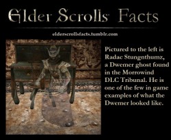 elderscrollsfacts:  Source/Image Source:Â http://www.uesp.net/wiki/File:TR_Creature_RadacStungnthumz.jpg