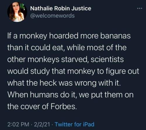 heterophobicmaxanne: #if  a monkey hoarded more bananas than