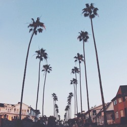 if-it-makes-you-happyyy:  ✹ check for more ✹