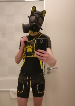 pup-rolo:  Got geared up for some cute and cuddly playtime with