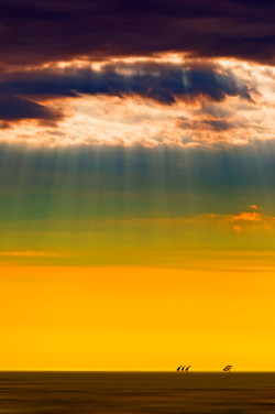 omgshowmetheworld:   Giraffes on the horizon, Etosha NP, Namibia