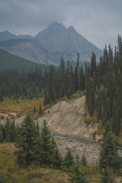 rachellaurenimagery:  Banff • Alberta • Canada