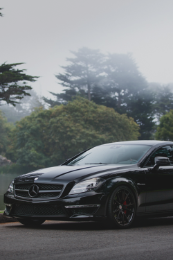 zxxxxvxvsvv:  Mercedes CLS63 AMG | via 