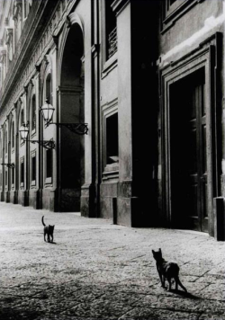 edoardojazzy: Naples, 1958  @ Leonard Freed  https://painted-face.com/