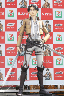 I have to say - life-size Levi is actually pretty worthy of his
