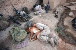 majorleagueinfidel:  Napping in Afghanistan, USMC style.