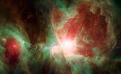 astronomybird:  Spitzer’s Orion  