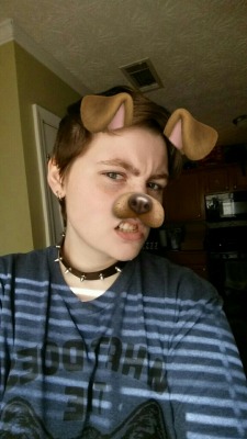 p0cket-pup:The spiked collar I ordered to make me look more tough