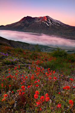 woodendreams:  (by KPieper)