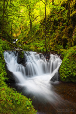 oceanpath:  Emerald Spring (by ~ Aaron Reed ~ on Flickr) 